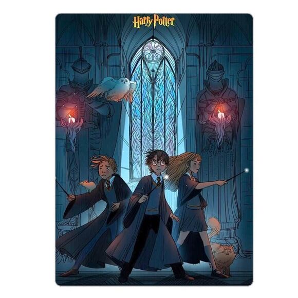 Harry Potter Hermione Magnet - Picture 1 of 4
